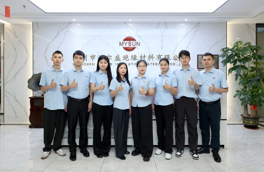 Porcelana Shenzhen Mysun Insulation Materials Co., Ltd. Perfil de la compañía