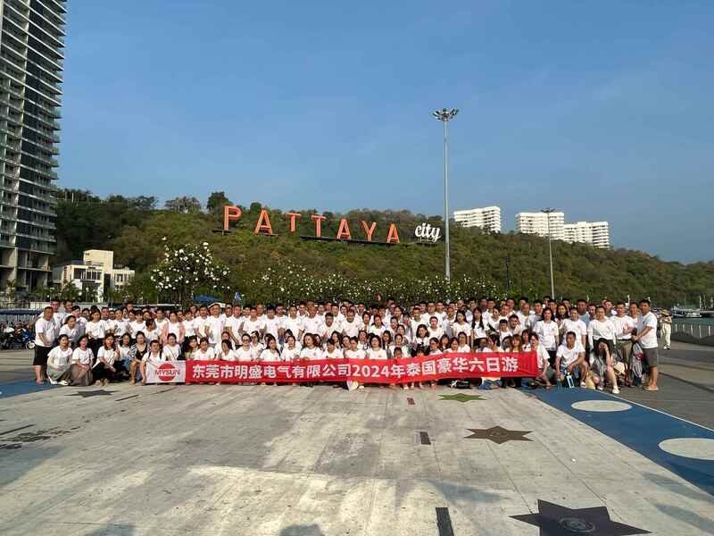 Porcelana Shenzhen Mysun Insulation Materials Co., Ltd. Perfil de la compañía