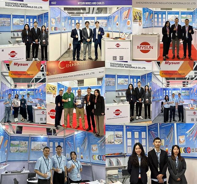 Porcelana Shenzhen Mysun Insulation Materials Co., Ltd. Perfil de la compañía