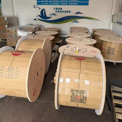 UL3916 XLPE Cable 3000V 150C Tinned Copper High Voltage Wire for EV & High Voltage Systems